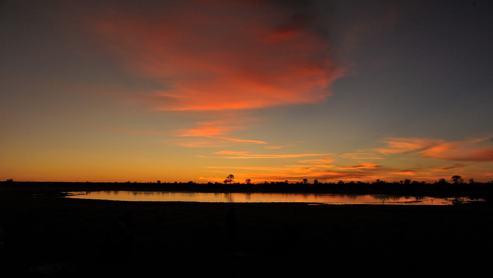 Moremi [28 mm, 1/640 sec at f / 8.0, ISO 2500]